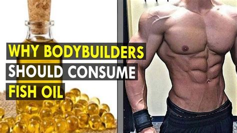 fish oil bodybuilding